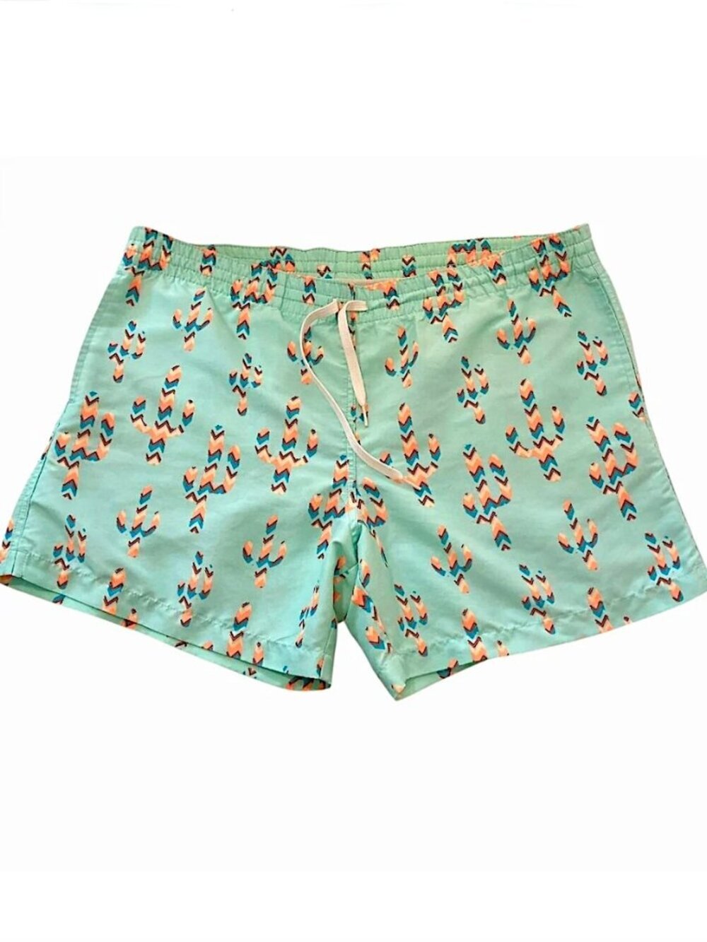 CHUBBIES Swim Shorts L Cactus Print Mint Green